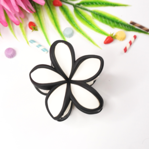 Black Border Multi-Shade Hair Clips