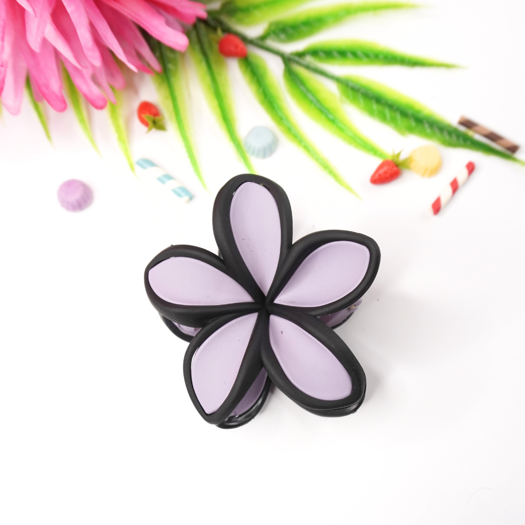 Black Border Multi-Shade Hair Clips