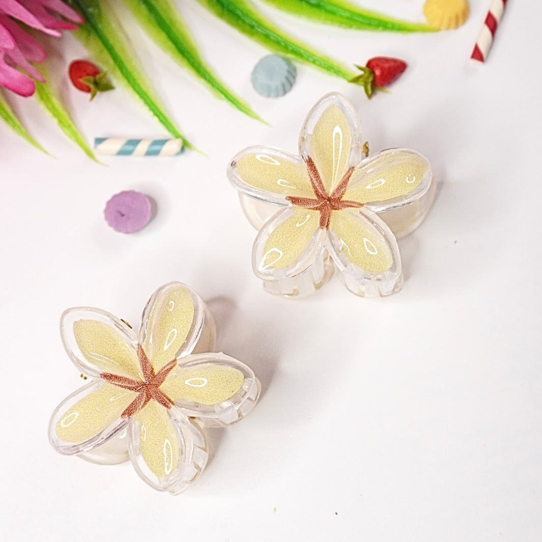 Trendy Hair Clip Set – Pack of 2