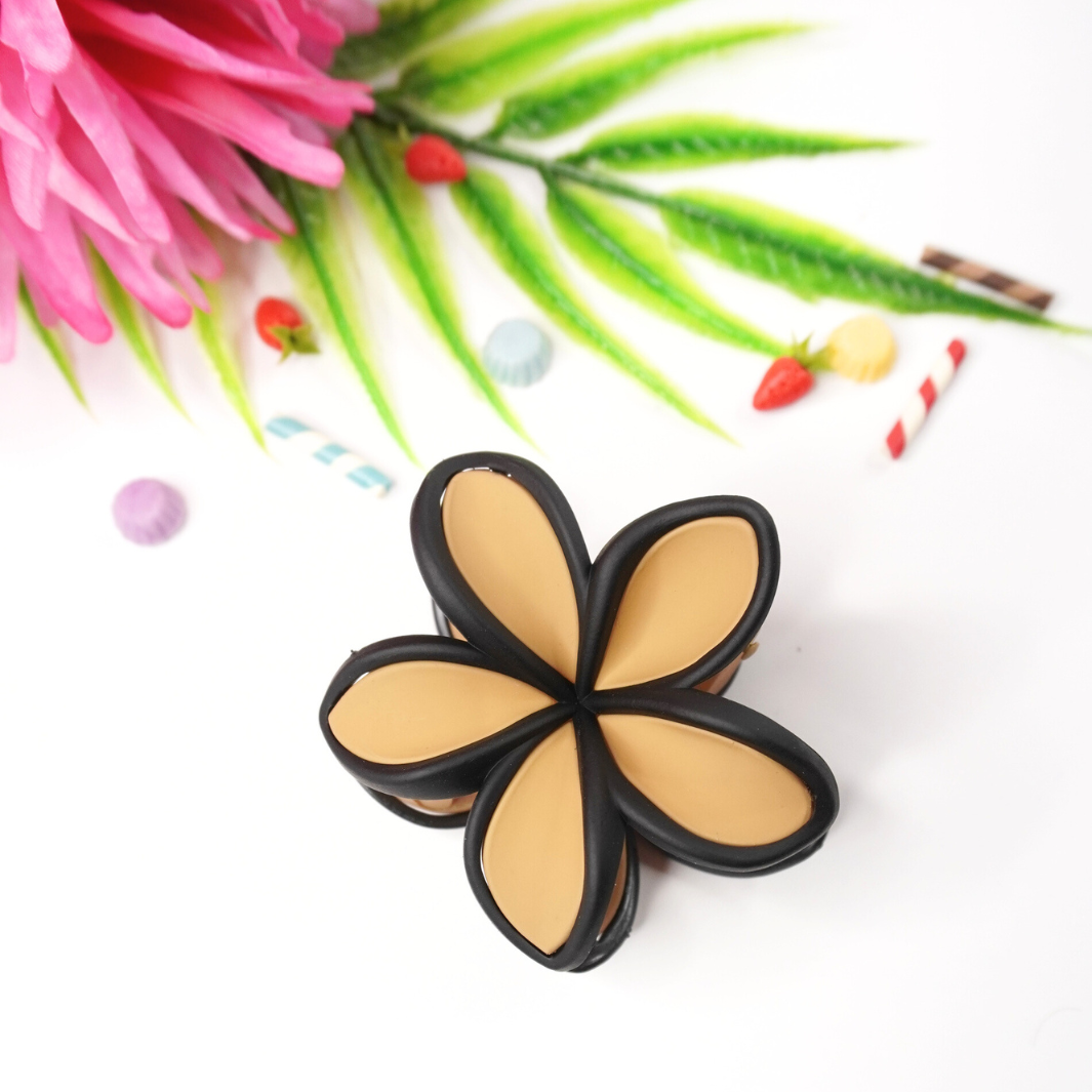 Black Border Multi-Shade Hair Clips