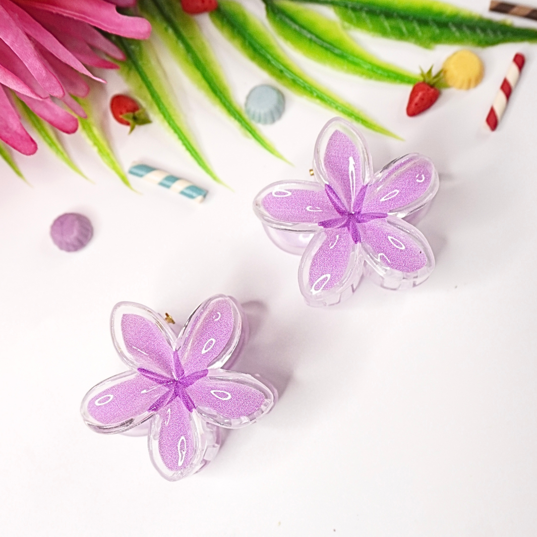 Trendy Hair Clip Set – Pack of 2