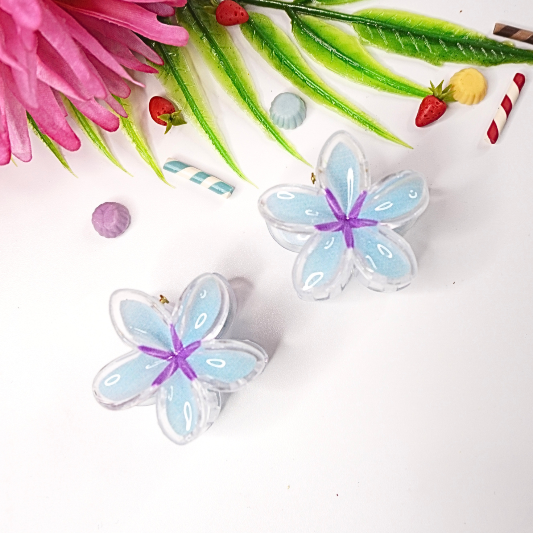 Trendy Hair Clip Set – Pack of 2