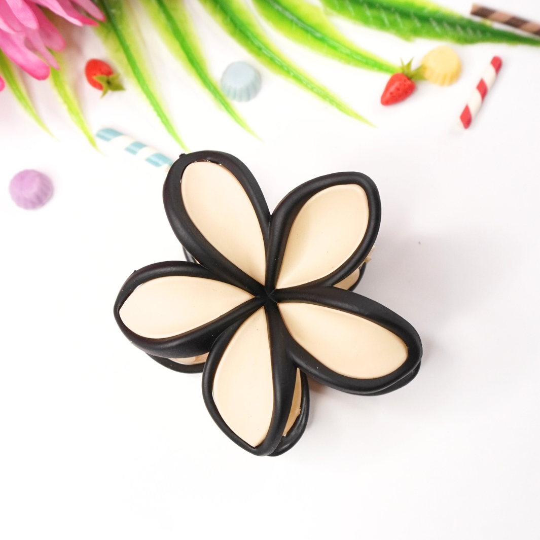Black Border Multi-Shade Hair Clips
