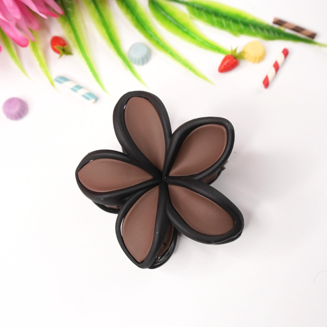 Black Border Multi-Shade Hair Clips