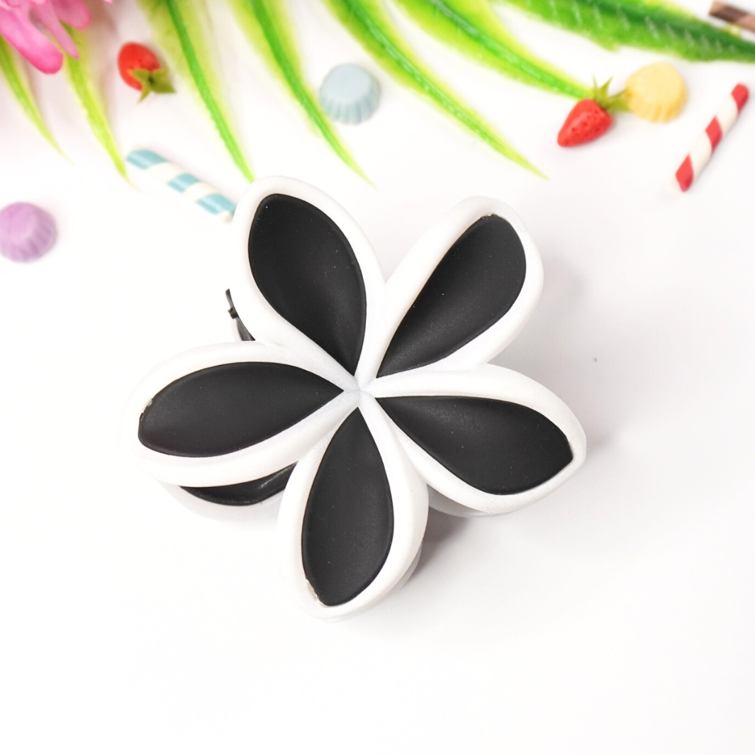 Black Border Multi-Shade Hair Clips
